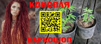 Альфа ПВП Жуковский